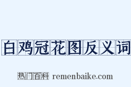 白鸡冠花图反义词是什么意思的图片